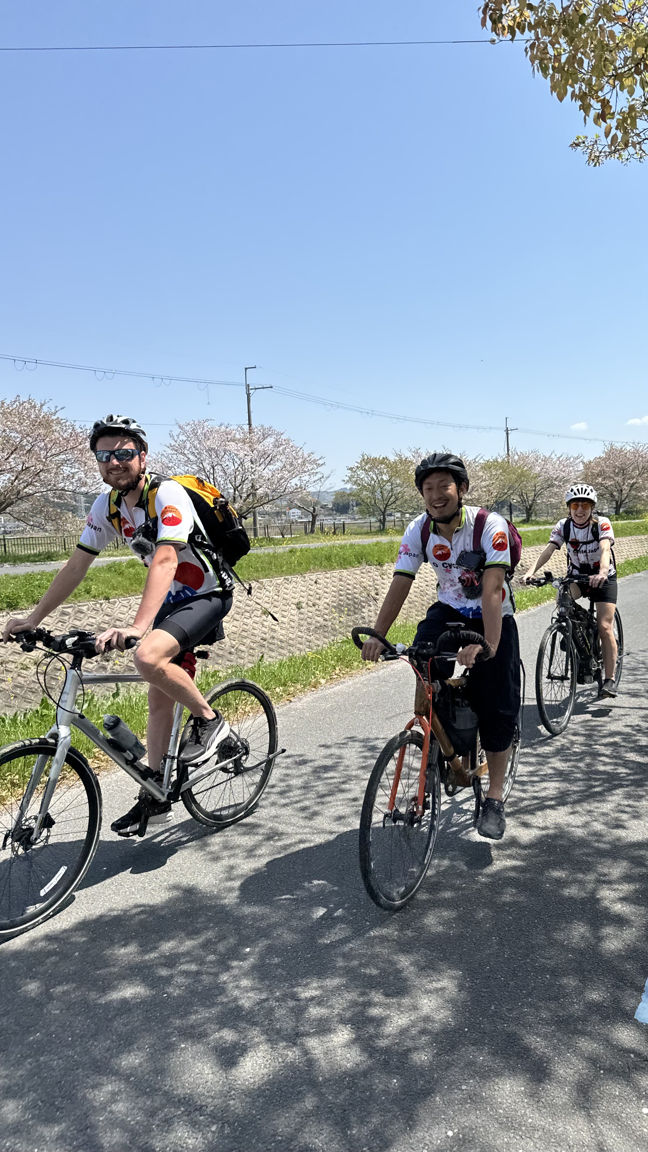 O Cycle Japan guides and riders on a cherry-blossom-lined bike path